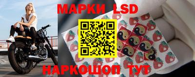 гидропоника Краснознаменск