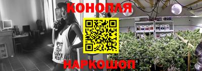 гидропоника Краснознаменск