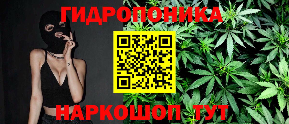 Шишки марихуана конопля Каменка